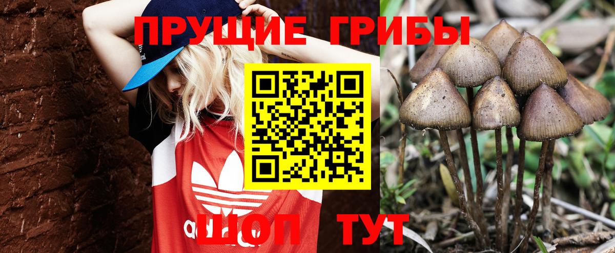 Псилоцибиновые грибы Magic Shrooms  Вход с VPN  Балашиха 