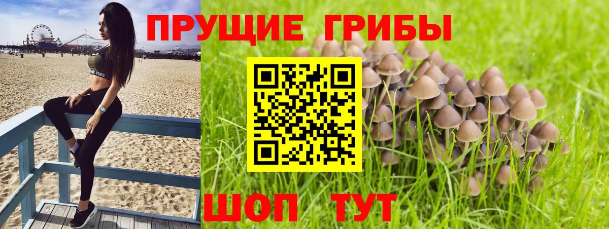 Псилоцибиновые грибы Magic Shrooms Балашиха